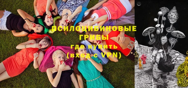 амф Абинск