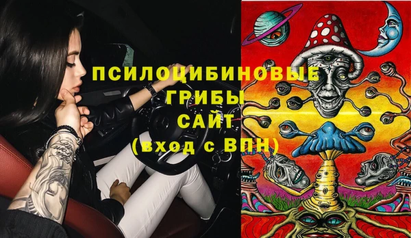 кокс Алзамай